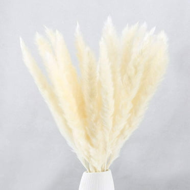 Details about   15-120PC Natural Dried Pampas Grass Reed Flower Bunch Home Wedding Bouquet Decor
